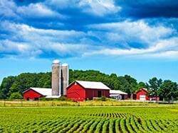 Farm Insurance Coverage in Norfolk.