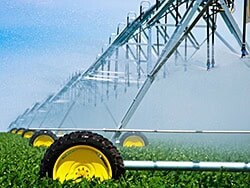 Reliable farm insurance coverage for agricultural needs in Norfolk.